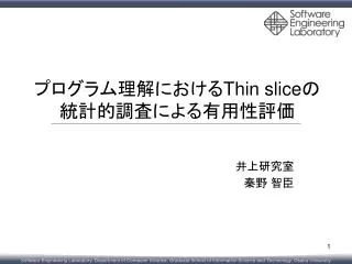 thin slice