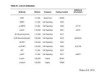 Table S1. List of antibodies