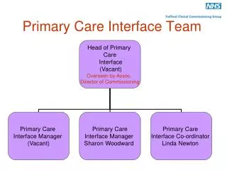 Primary Care Interface Team
