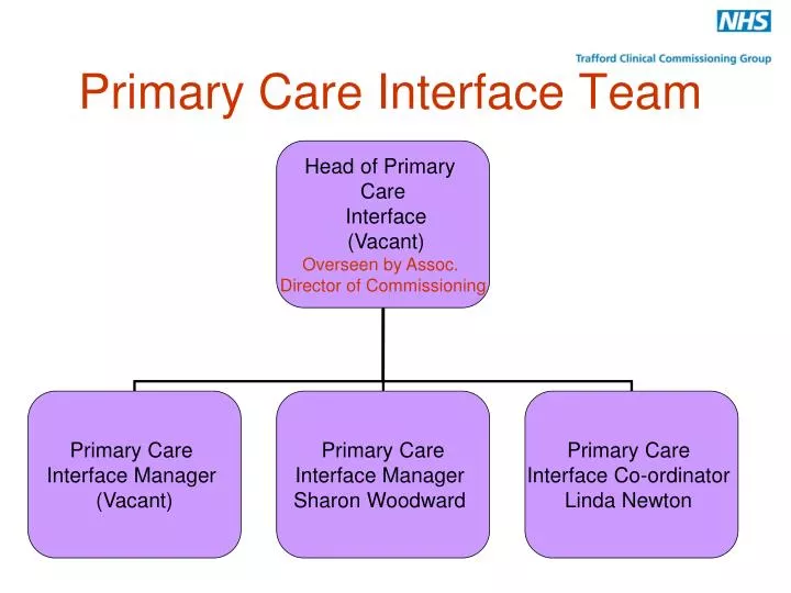 primary care interface team
