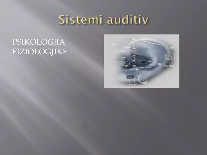 sistemi auditiv