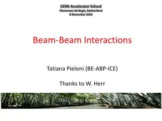 Beam -Beam Interactions