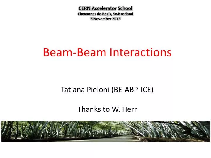 beam beam interactions