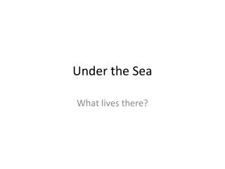 under the sea