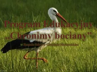 Program Edukacyjny „ Chronimy bociany”