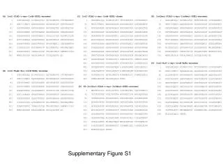 Supplementary Figure S1