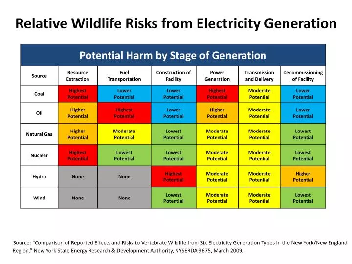 relative wildlife risks from electricity generation