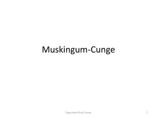 muskingum cunge