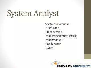 system analyst