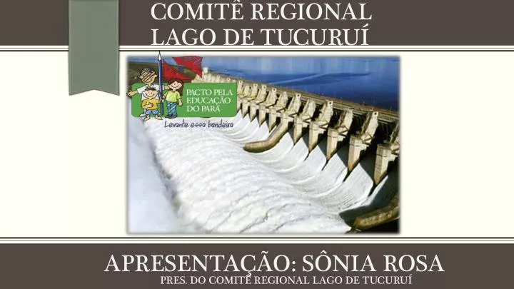 comit regional lago de tucuru