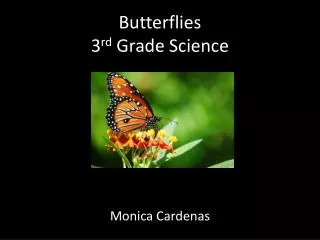 Butterflies 3 rd Grade Science
