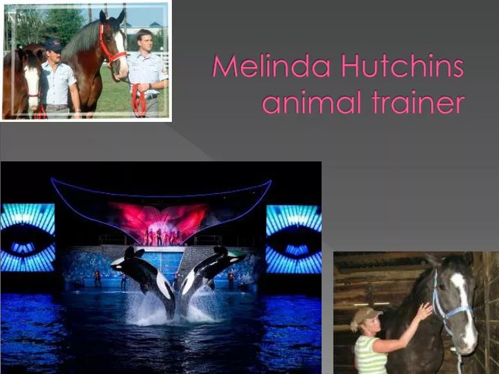 melinda hutchins animal trainer