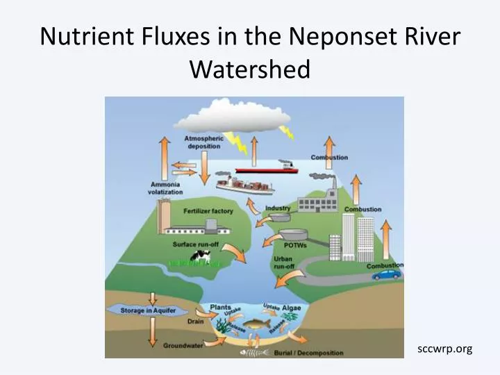 nutrient fluxes in the neponset river watershed