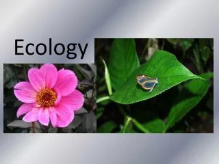 Ecology