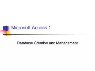 Microsoft Access 1