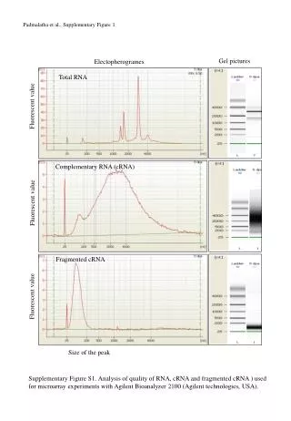 Total RNA