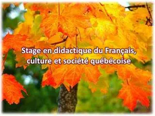 stage en didactique du fran ais culture et soci t qu b coise