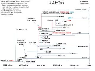 I1 L22+ Tree