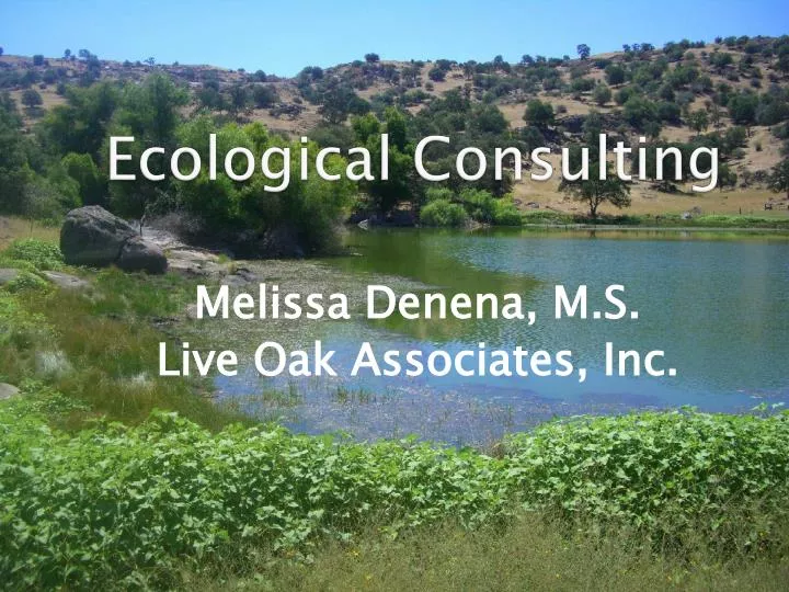 ecological consulting
