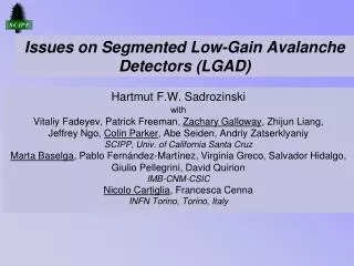 Issues on Segmented Low-Gain Avalanche Detectors (LGAD)