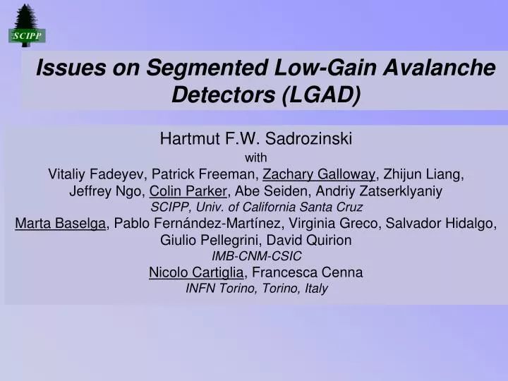 issues on segmented low gain avalanche detectors lgad
