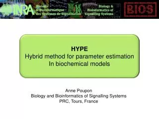 HYPE Hybrid method for parameter estimation In biochemical models
