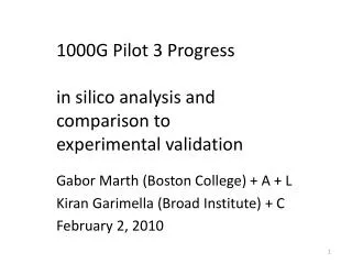 1000G Pilot 3 Progress in silico analysis and comparison to experimental validation