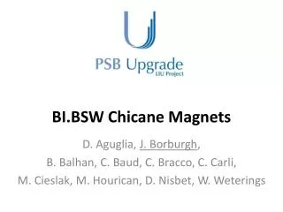 BI.BSW Chicane Magnets