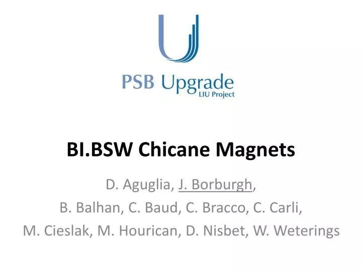 bi bsw chicane magnets