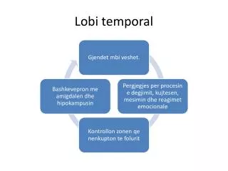 lobi temporal
