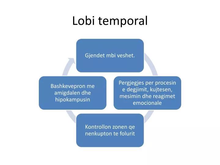 lobi temporal