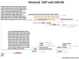 Chromo2 L597 and L39/L40