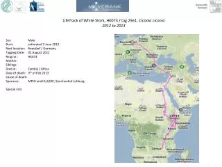 LifeTrack of White Stork, HK073 / tag 2561 , Ciconia ciconia 2012 to 2013