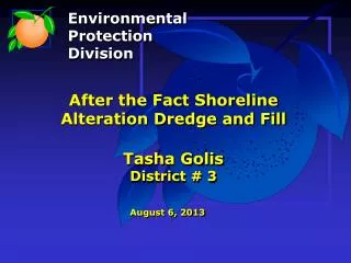 After the Fact Shoreline Alteration Dredge and Fill Tasha Golis District # 3