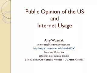 Public Opinion of the US and Internet Usage
