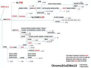 Chromo2I1xZ58xL22