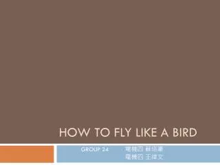 How to fly like a bird