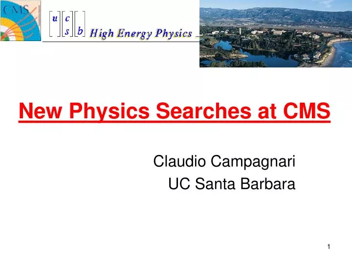 new physics searches at cms