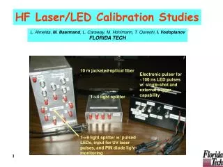 HF Laser/LED Calibration Studies