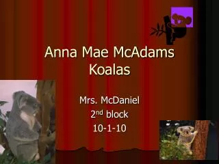 Anna Mae McAdams Koalas