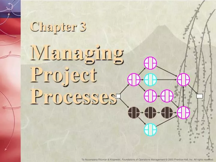 chapter 3 managing project processes