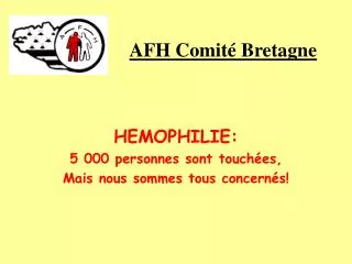afh comit bretagne