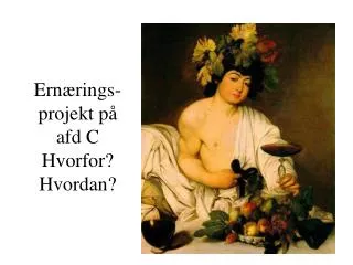 ern rings projekt p afd c hvorfor hvordan