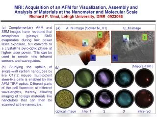 (a) AFM image (Solver NEXT) SEM image