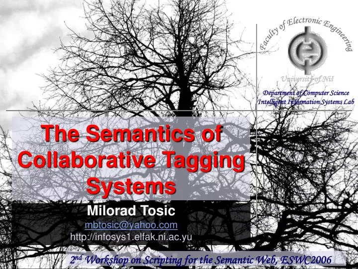 the semantics of collaborative tagging systems