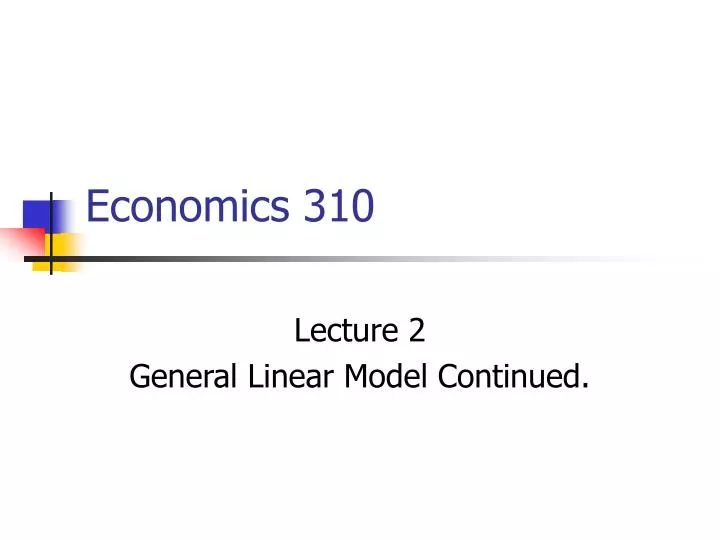 economics 310