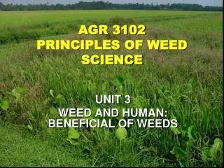 AGR 3102 PRINCIPLES OF WEED SCIENCE