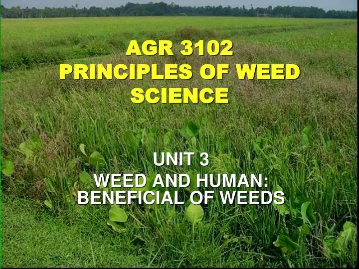 agr 3102 principles of weed science