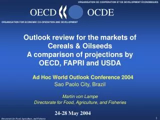 Ad Hoc World Outlook Conference 2004 Sao Paolo City, Brazil Martin von Lampe