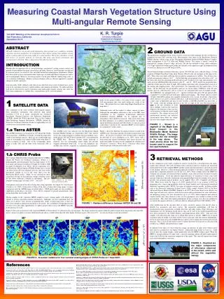 Measuring Coastal Marsh Vegetation Structure Using Multi-angular Remote Sensing